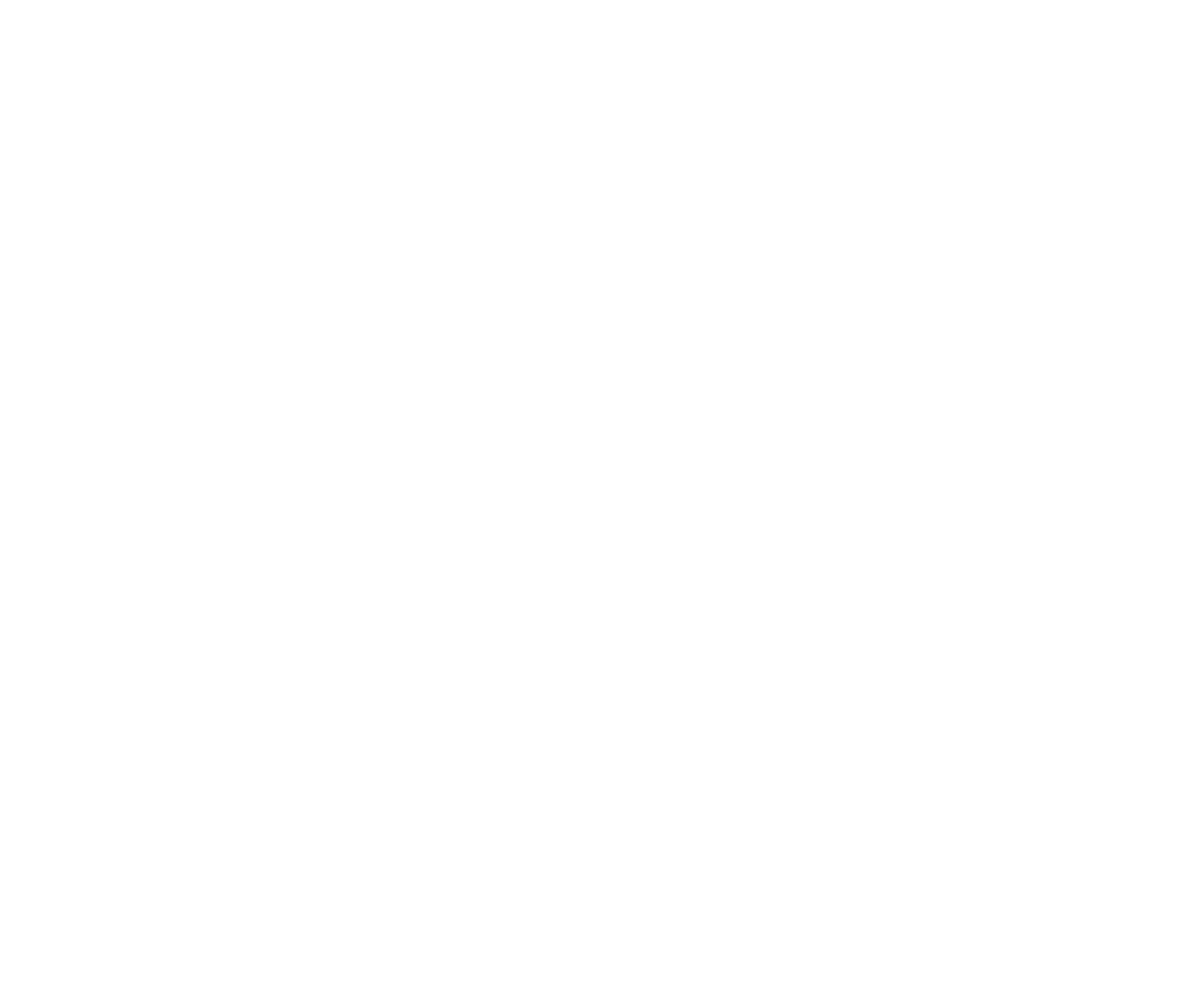 SΛV•X